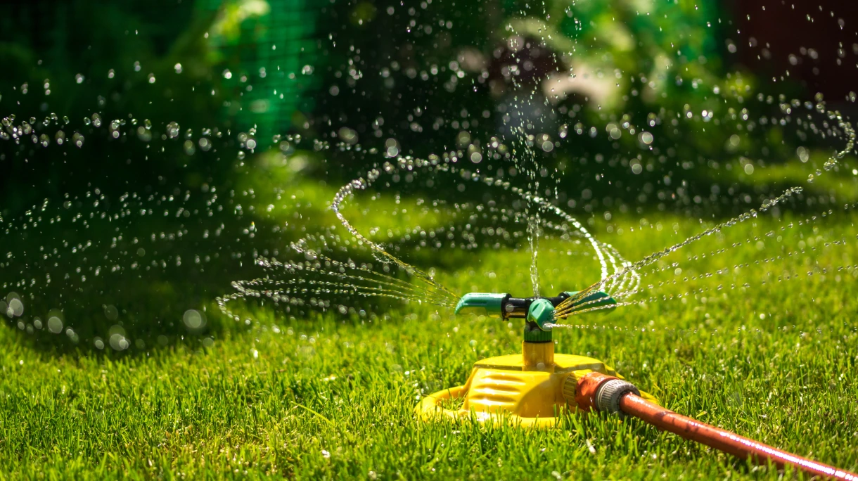 Hose sprinkler attachment watering lawn for summer care.