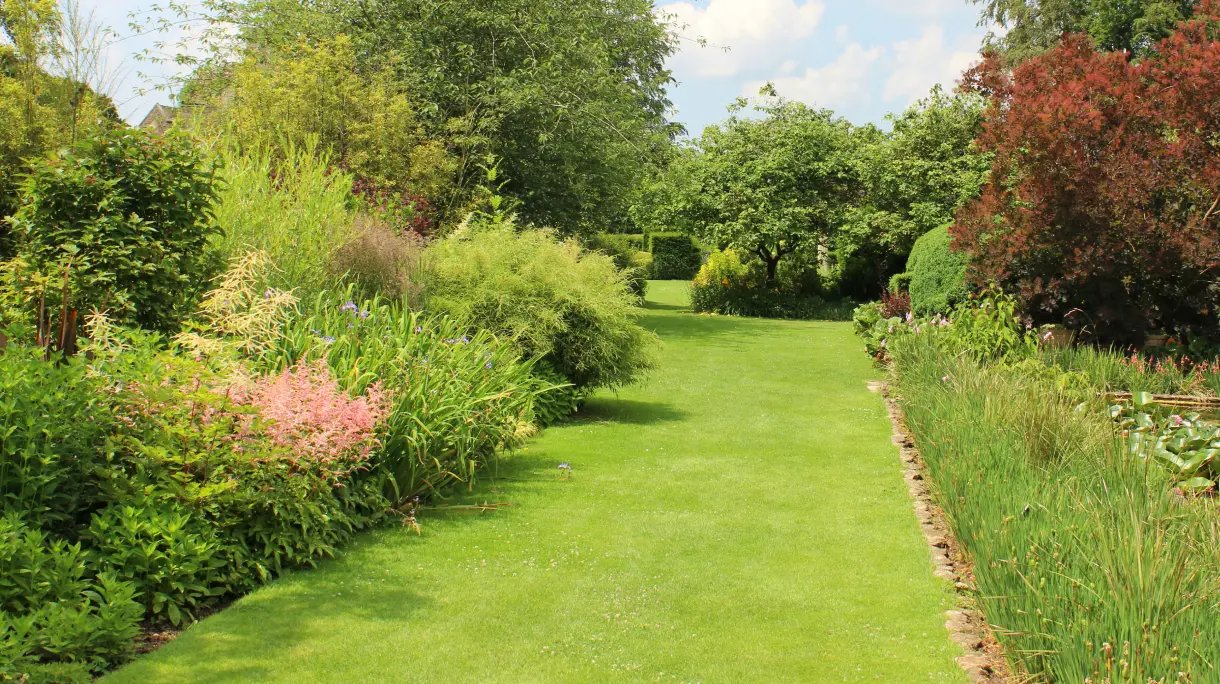 Healthy summer lawn with lush borders and mature trees