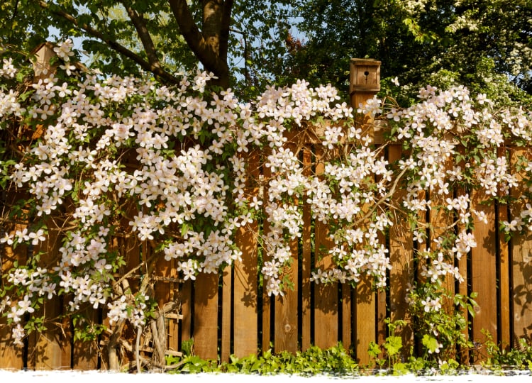 Garden Ideas for Small Spaces that Won’t Cost the Earth