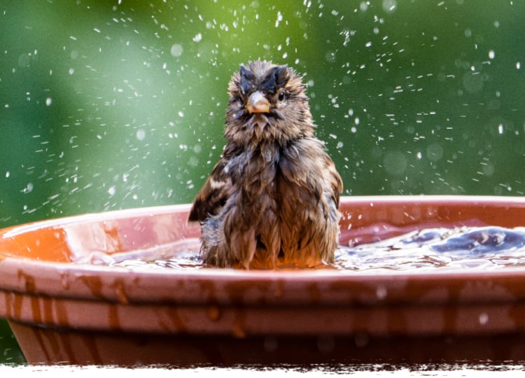 Bringing the Outdoors In: Natural Décor Ideas for Your Rural Home