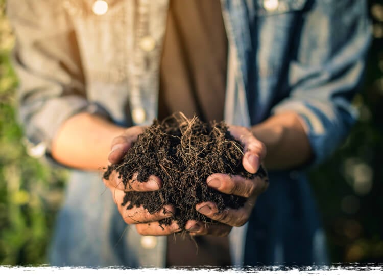 Composting for Beginners