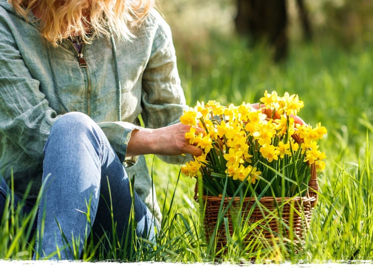 Preparing Your Garden For Spring