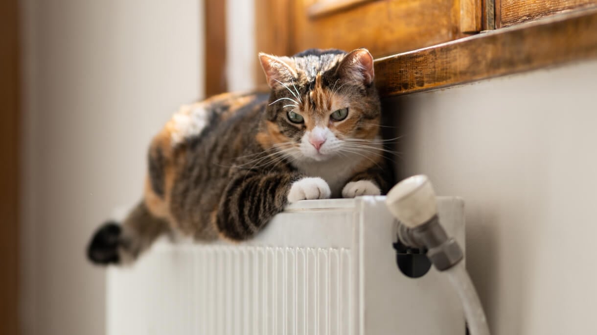 5 Energy-Saving Myths Debunked