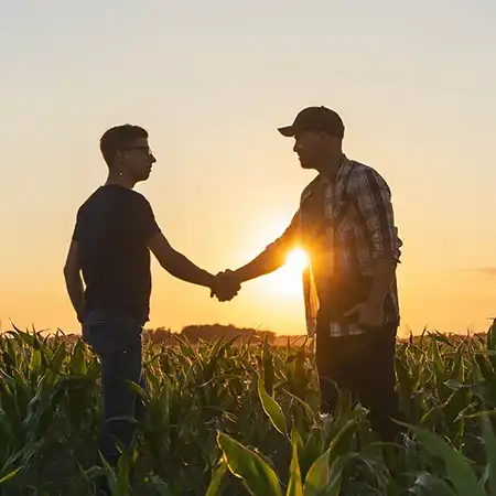 Agricultural farmers shaking hands in a field at sunrise.