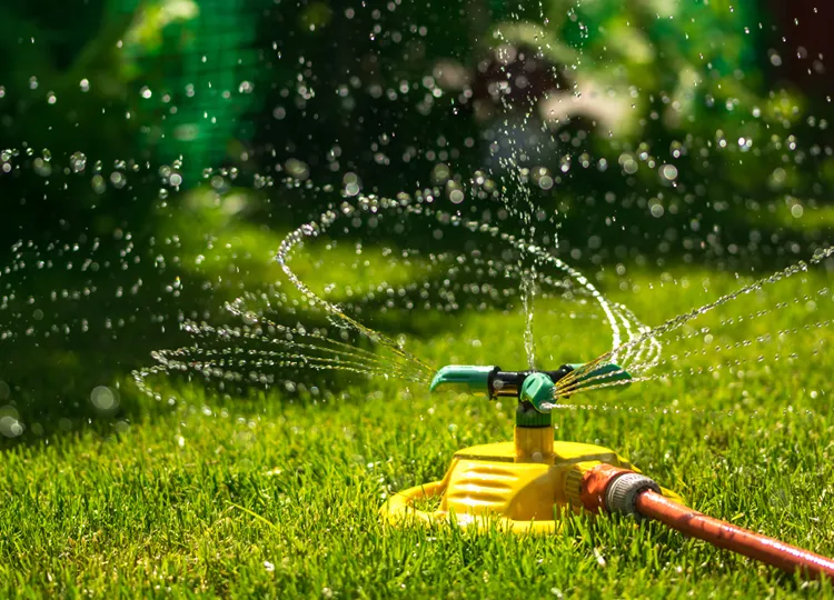 Keep Green! Lawn Care Tips For Summer