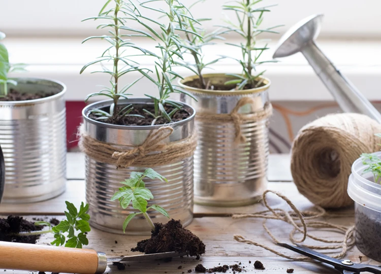 Easy Upcycling Without Fancy Tools or Materials