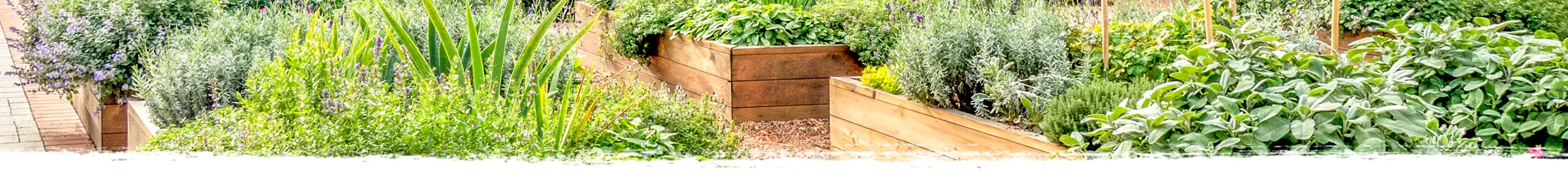 Growing Your Own This Spring With Ema Shortel